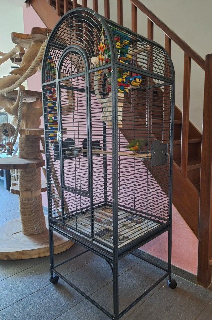 splinternieuwe papegaai kooi, Enlèvement, Neuf, Métal, Cage à oiseaux