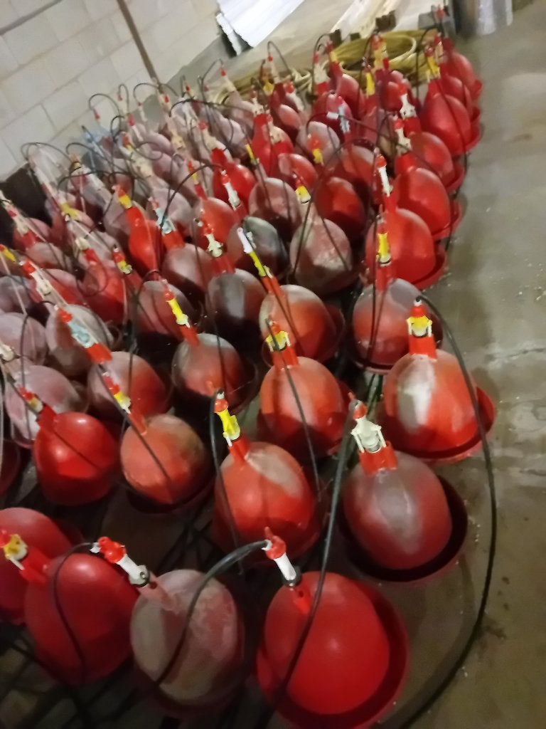 80 x PLASSON DRINKBAKKEN COMPLEET (kuiken tot kip) lage druk, Dieren en Toebehoren, Meerdere dieren, Kip