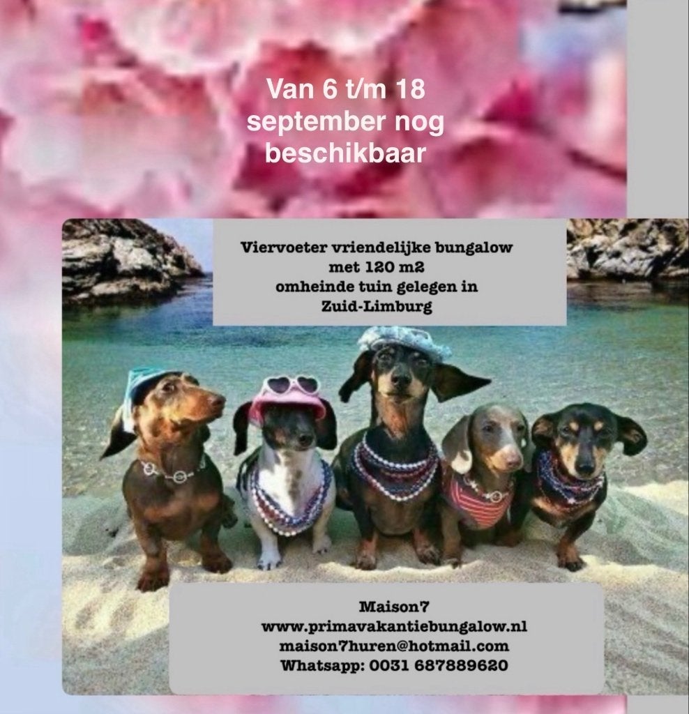 Hondvriendelijke vakantie Zuid-Limburg omheinde bungalow, Ophalen