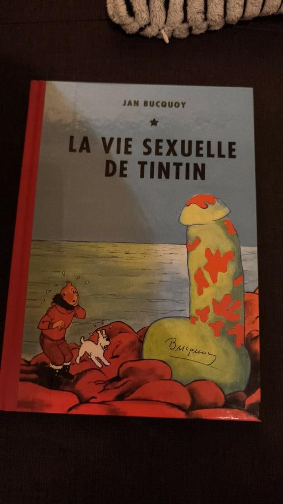 Le vie sexuelle de Tintin, Enlèvement ou Envoi