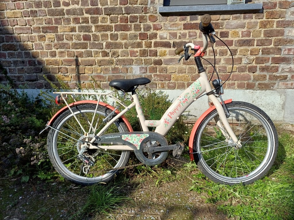 fiets 20 inch, Fietsen en Brommers, Fietsen | Kinderfietsjes, Ophalen, Gebruikt, 20 inch of meer, BikeFun Kids (BFK)