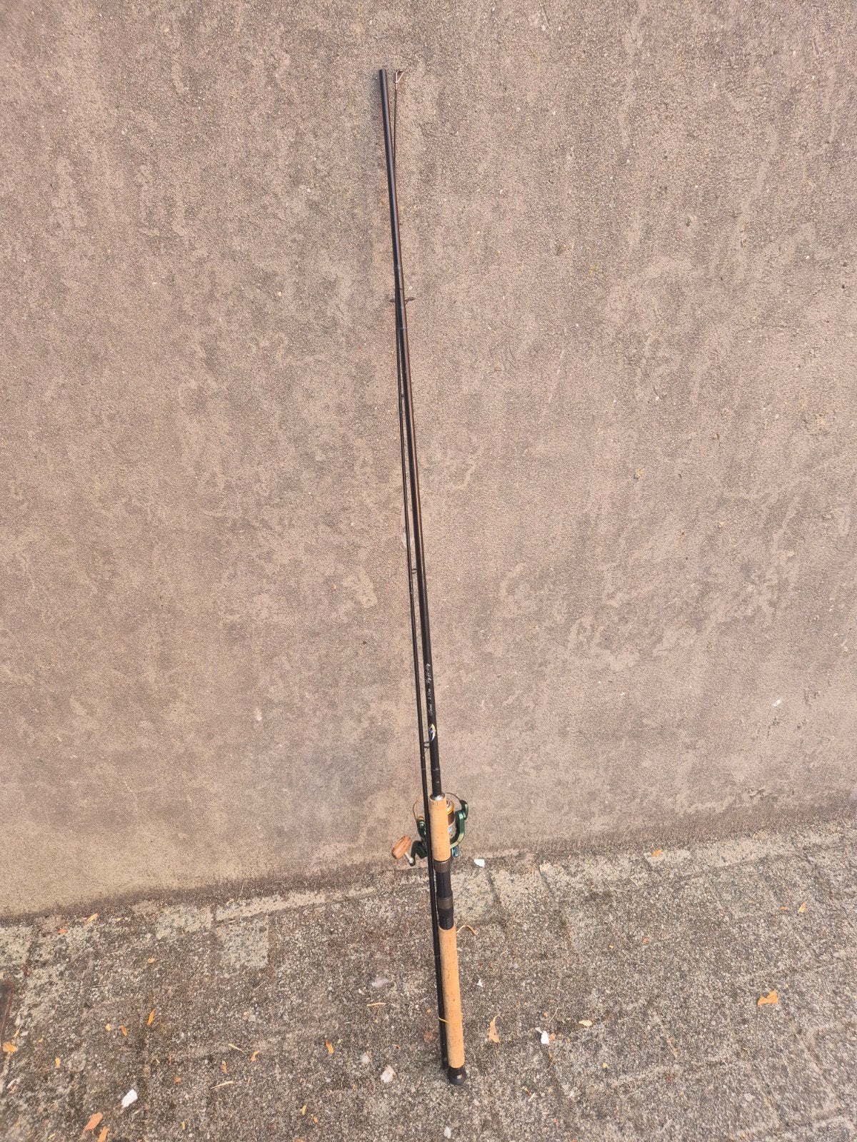Complete Forelhengel / Spinset – 2.70m (Werpgewicht 20-50g), Ophalen, Molen