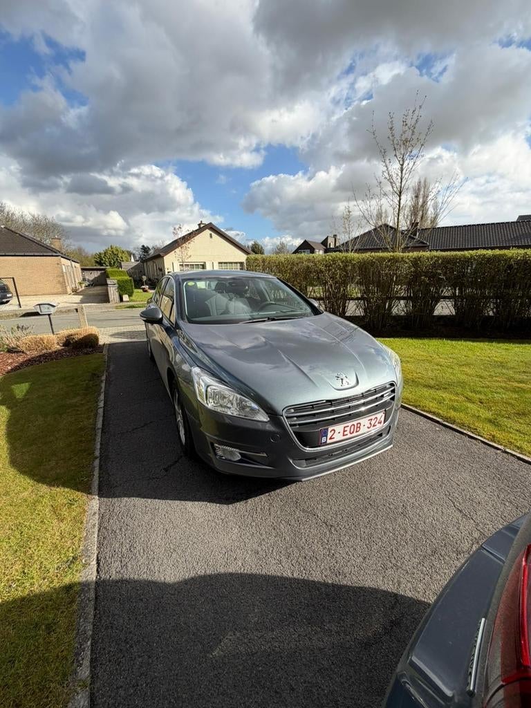 Propere  gezinswagen, Auto's, Peugeot, Voorwielaandrijving, Stof, 1600 cc, Bedrijf