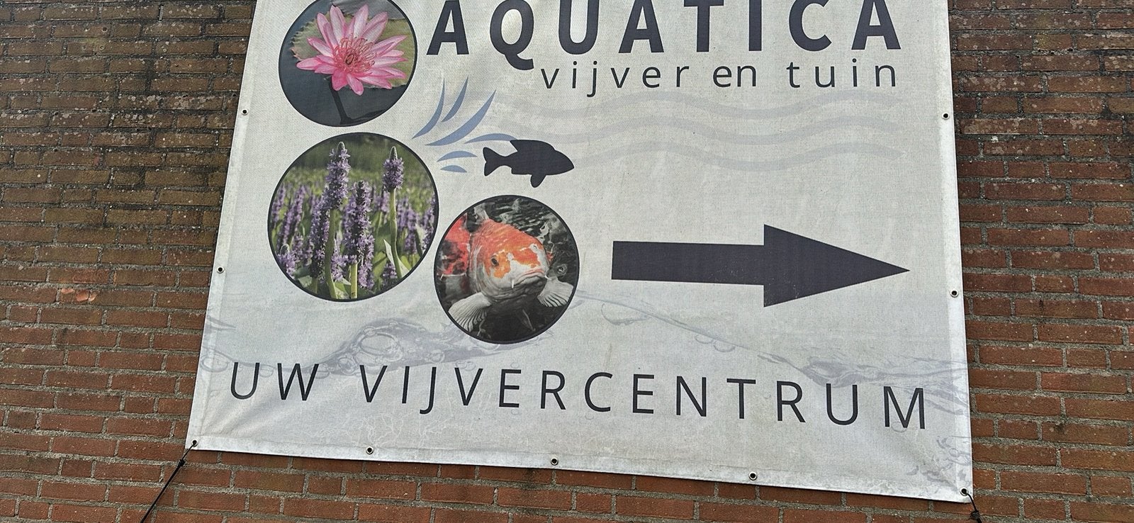 Vijverplanten/zuurstofplanten specialist ( Nederland), Ophalen, Zo goed als nieuw