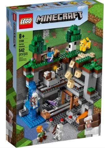 Lego 21169, Ongeopend/sealed, Minecraft, Lego, Nieuw
