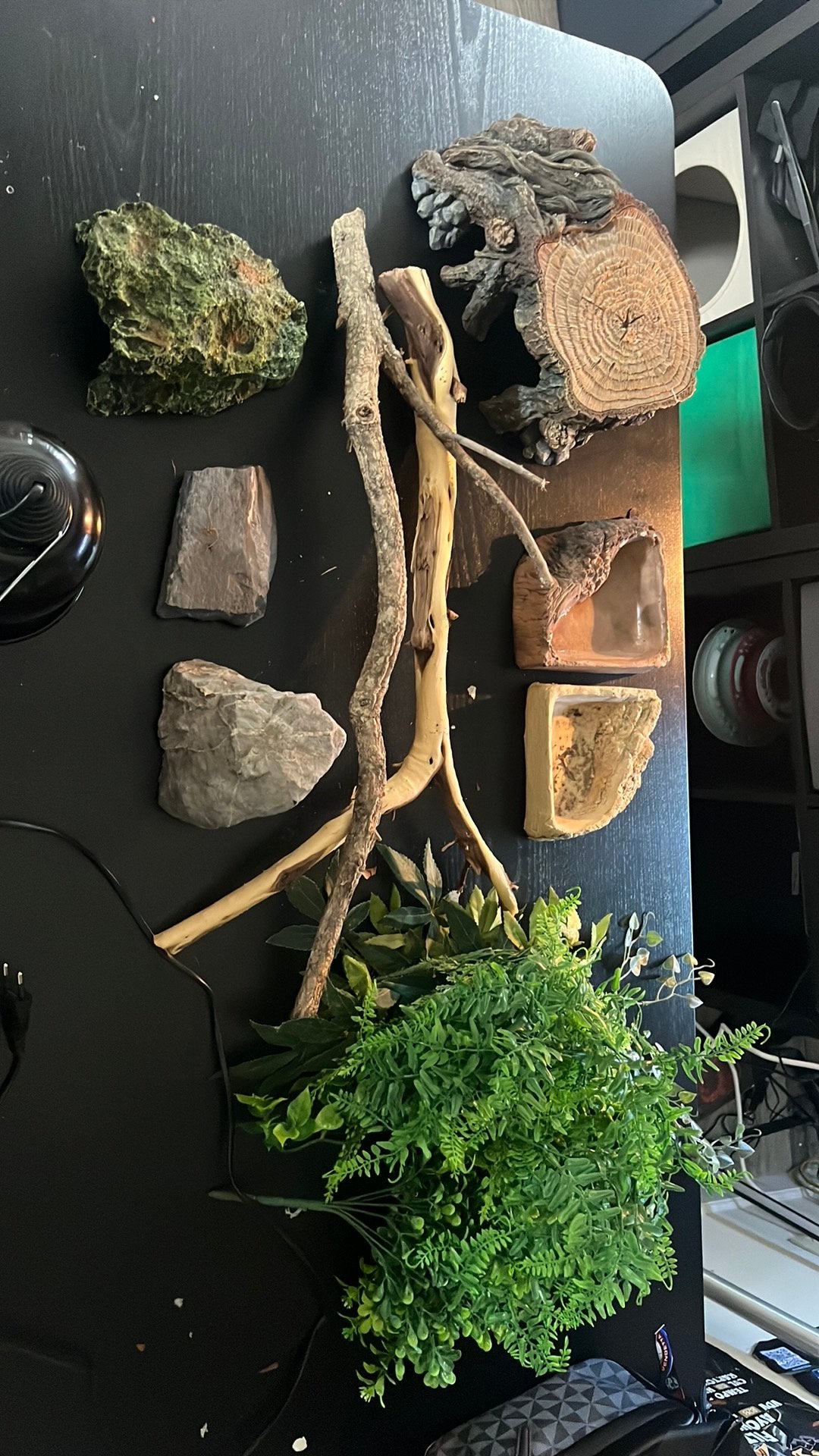 Terrarium decoratie, Ophalen, Zo goed als nieuw