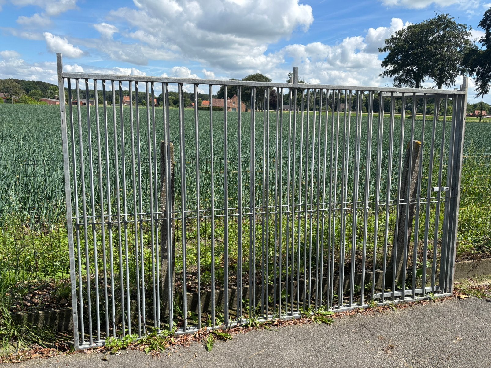 Kennelpanelen, Dieren en Toebehoren, Hondenhokken, Ophalen, Hondenkennel, 100 cm of meer, 110 cm of meer