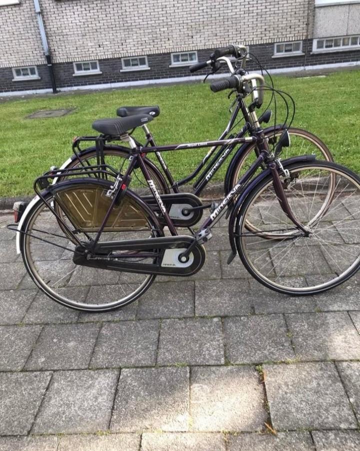Ensemble de vélos Minerva pour femmes en parfait état, Autres marques, Vitesses, Frein sur jante, Comme neuf