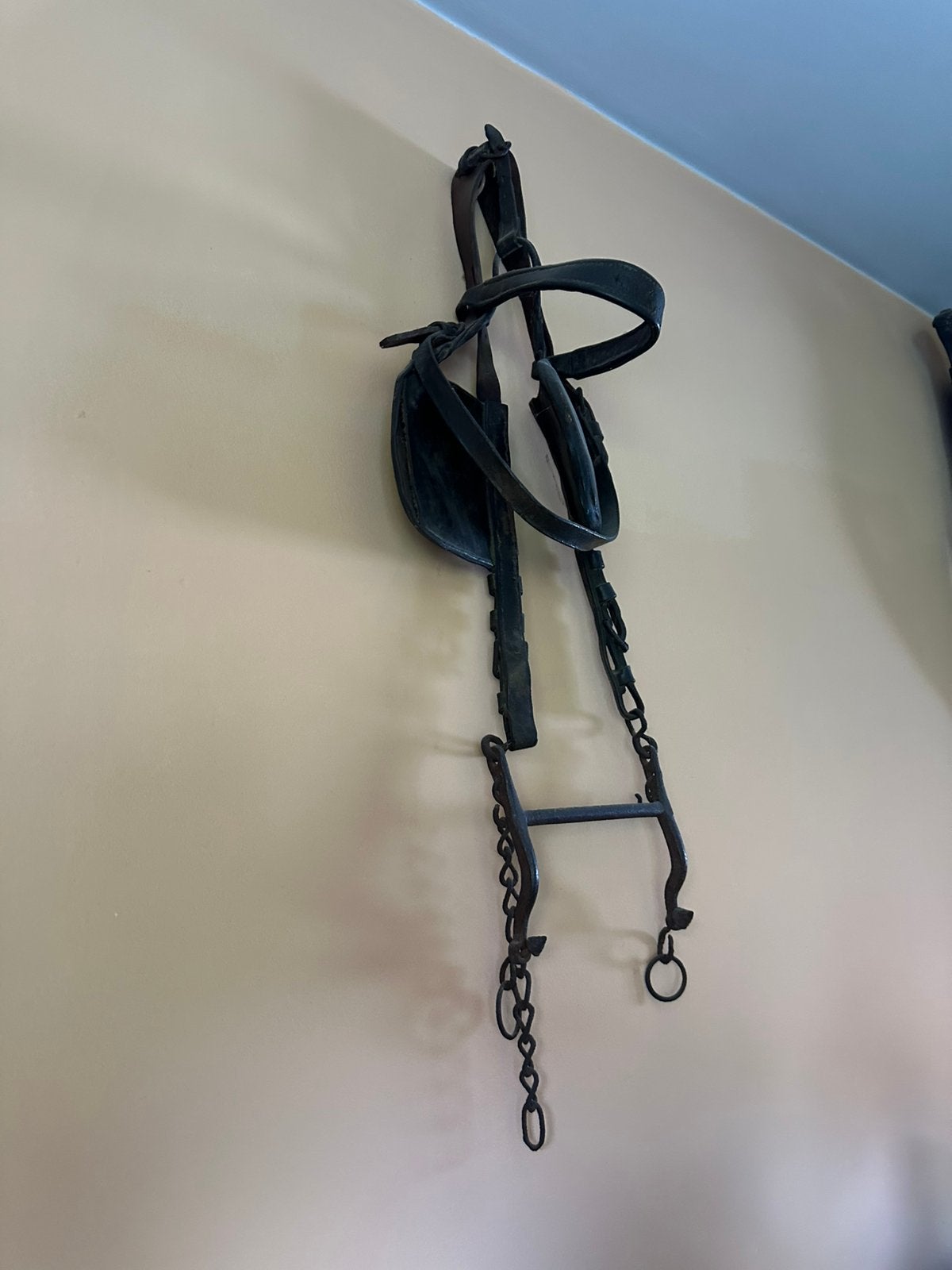 Bridon pour chevaux, Animaux & Accessoires, Chevaux & Poneys | Brides & Harnachement, Enlèvement, Comme neuf, Noir