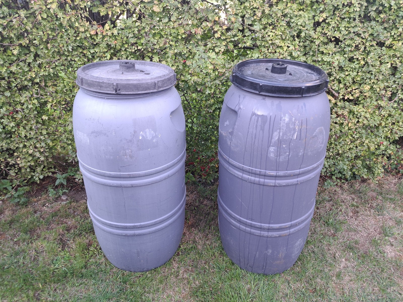 6 tonneaux 267 litres pour récupération eau de pluie, Jardin & Terrasse, Enlèvement