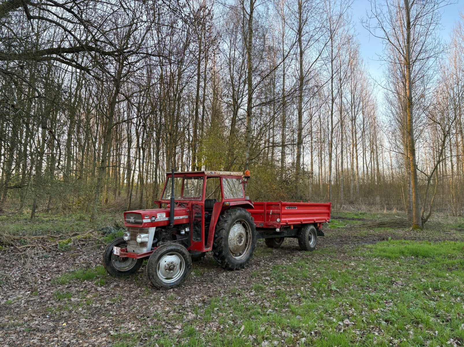 Massey ferguson 135, Enlèvement, Massey Ferguson