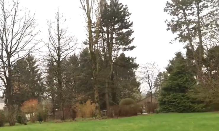 recherche jardinier pour élaguer quelques arbres, Ophalen