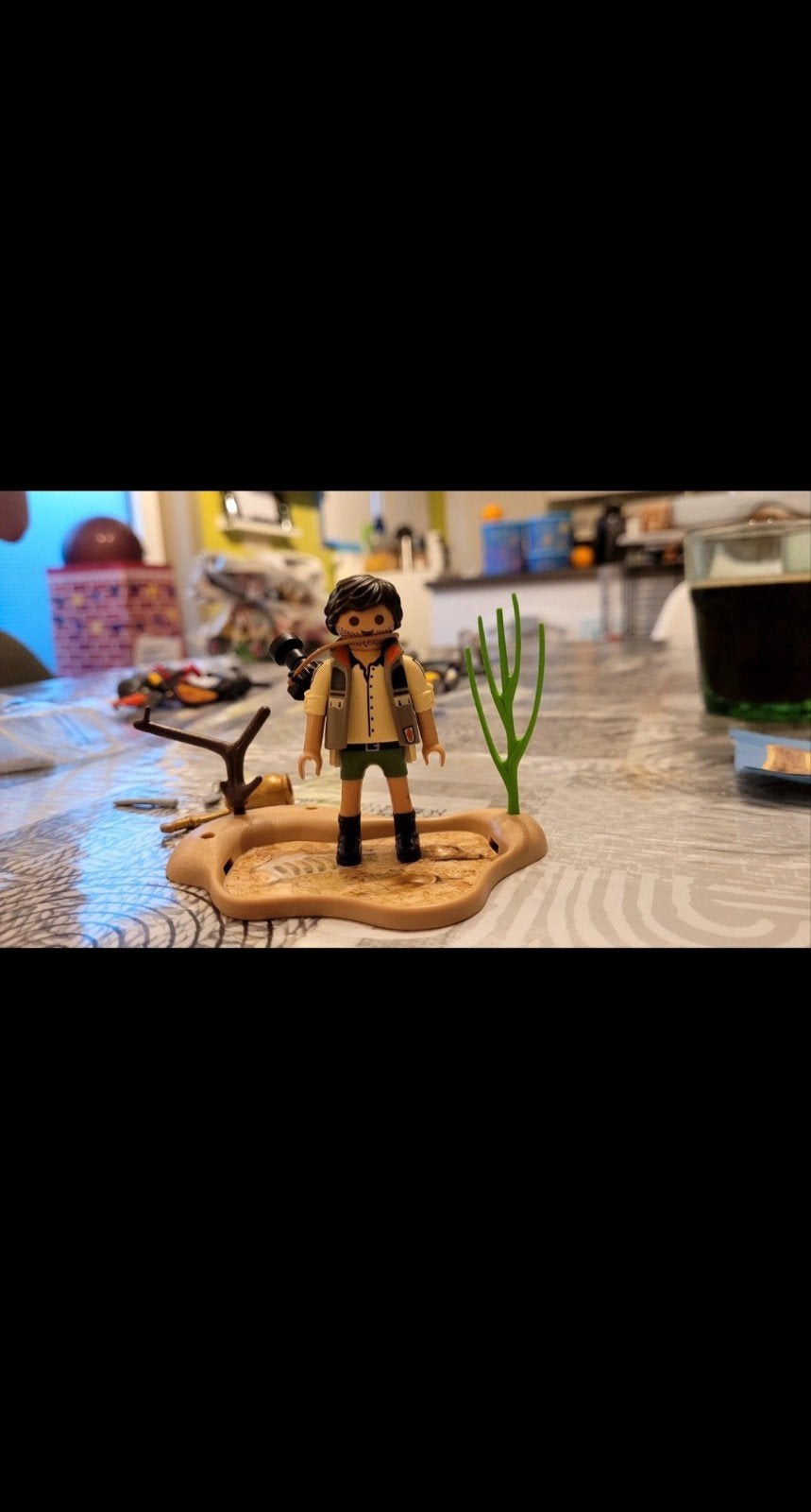 lot playmobile, Enlèvement