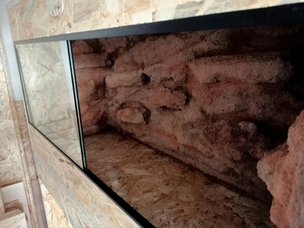 Osb3 terrarium RepHouSZ. 100/40/50 met 3D achterwand 125€., Dieren en Toebehoren, Ophalen, Nieuw, Terrarium of Paludarium