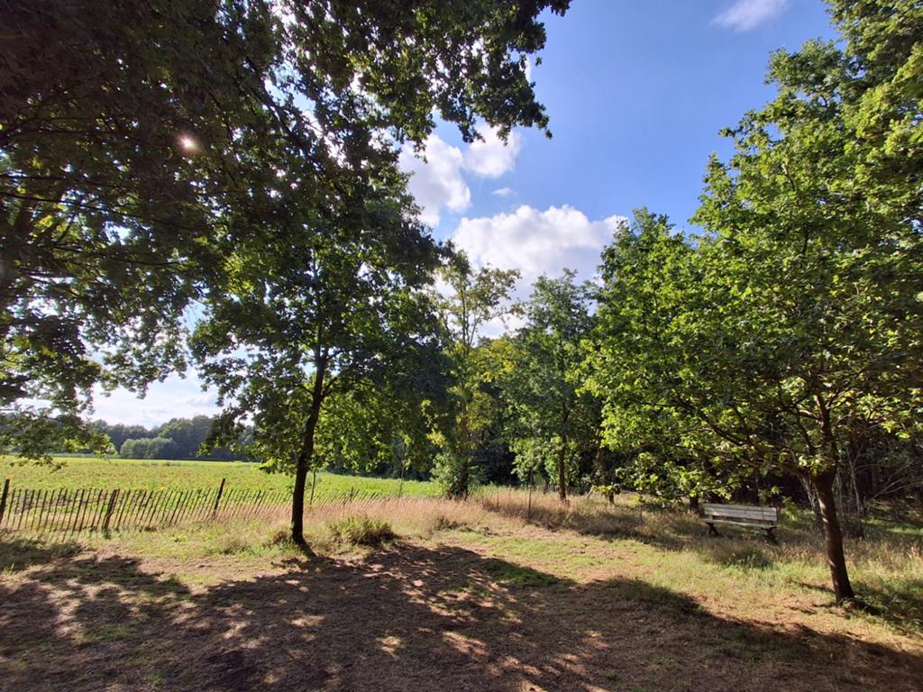 Prachtig stukje bosgrond, 7.000m2, te koop., Immo