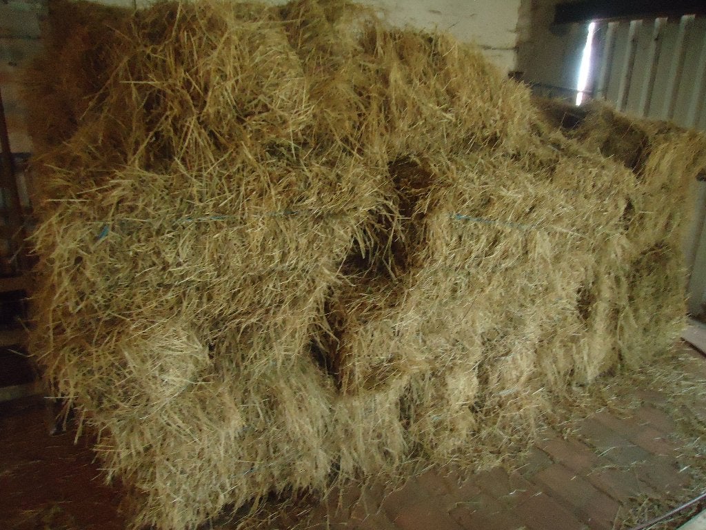 hooi weidegras bio niet bemest, Ophalen, Vee