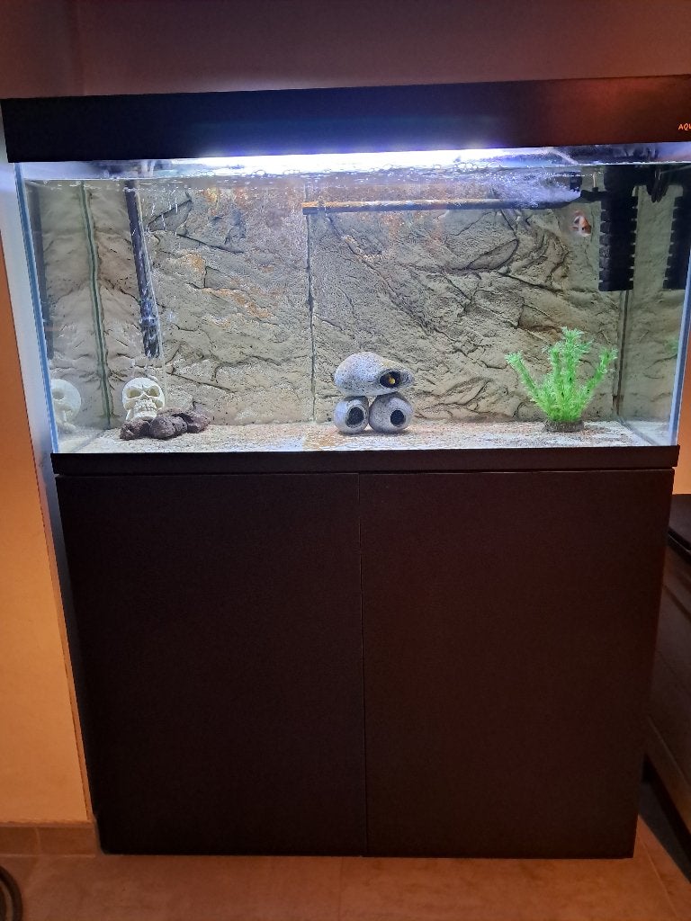 Heel mooi Aquarium te koop met optic white beglazing!!, Dieren en Toebehoren, Ophalen, Inclusief deksel, Zo goed als nieuw, Leeg aquarium