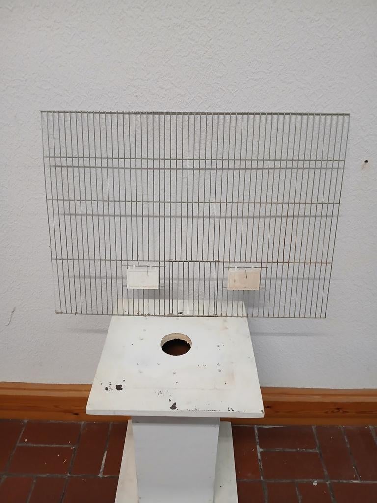 Voorfront, Enlèvement