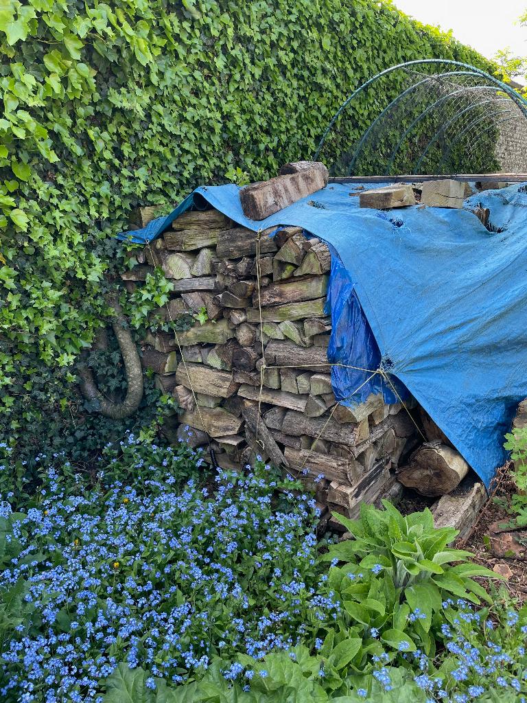 Brandhout, Tuin en Terras, Brandhout, 6 m³ of meer, Ophalen, Eikenhout, Blokken