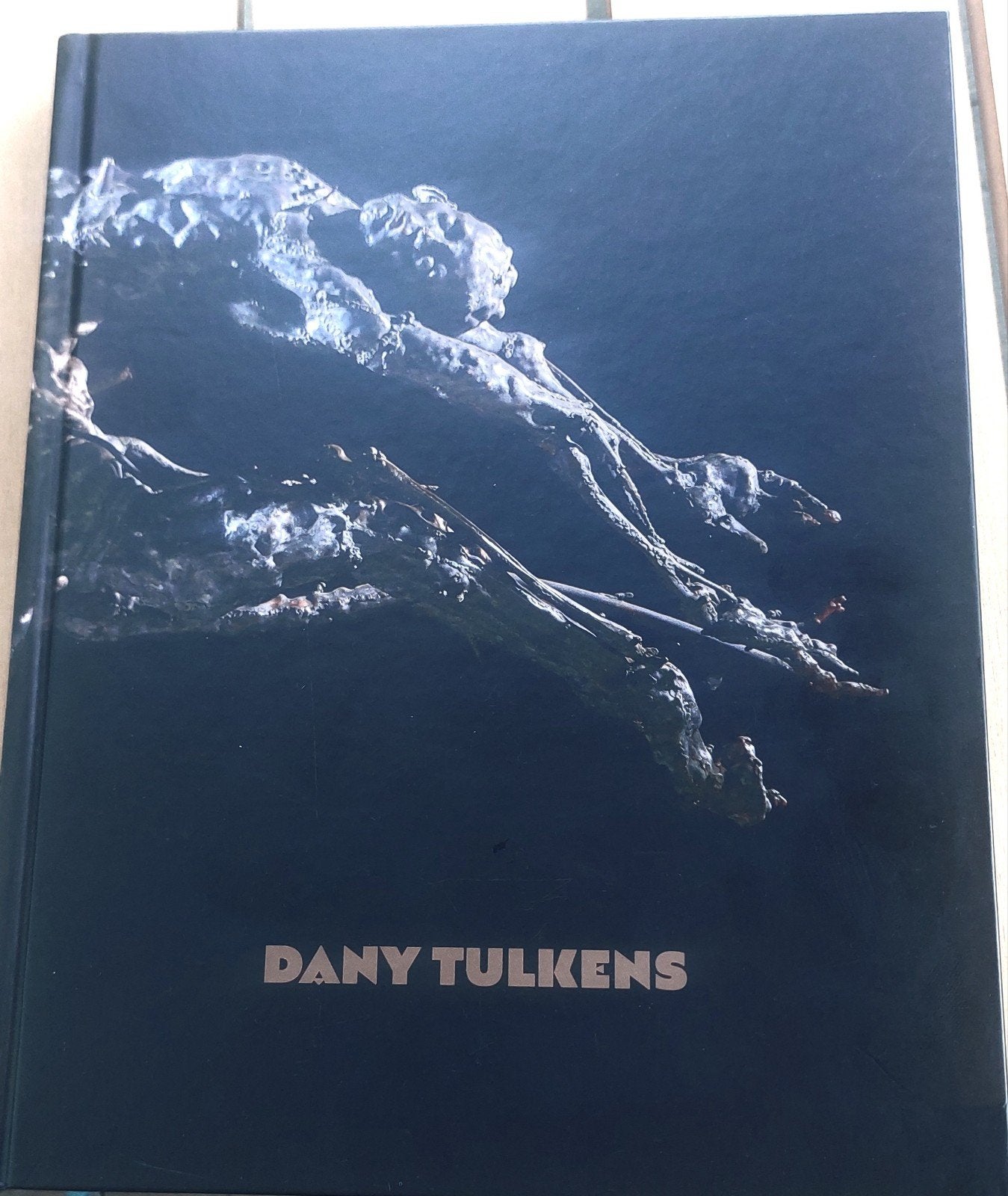 Prachtige Kunstmonografie Dany Tulkens (Hardcover), Antiek en Kunst, Ophalen of Verzenden, Brons