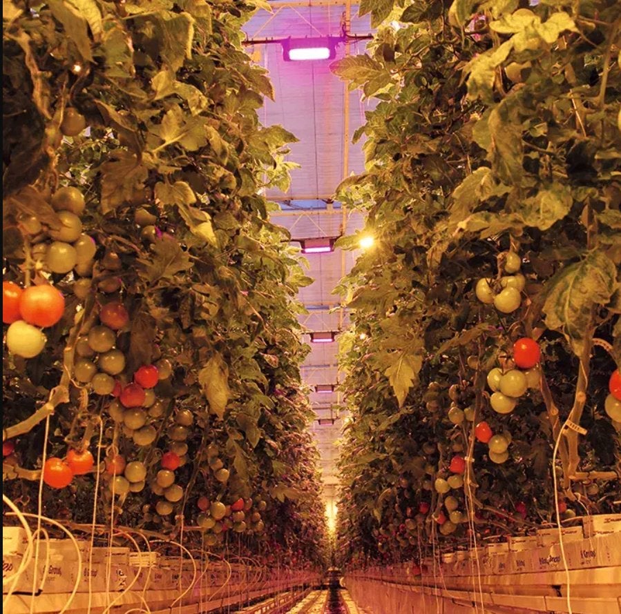 NOUVEAU Éclairage LED OSRAM avec électronique optique, Enlèvement, Neuf