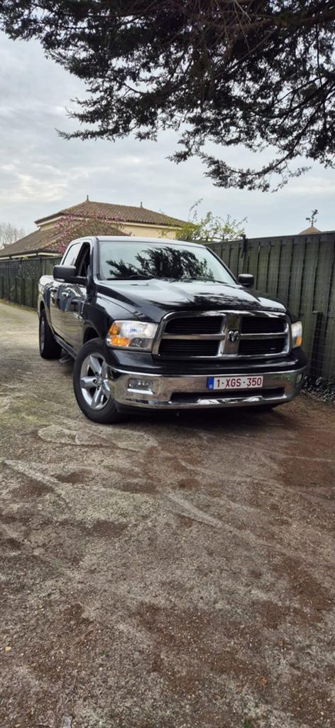 Dodge Ram 1500. Big Horn, Autos, Achat, Beige, 5700 cm³, 5 places