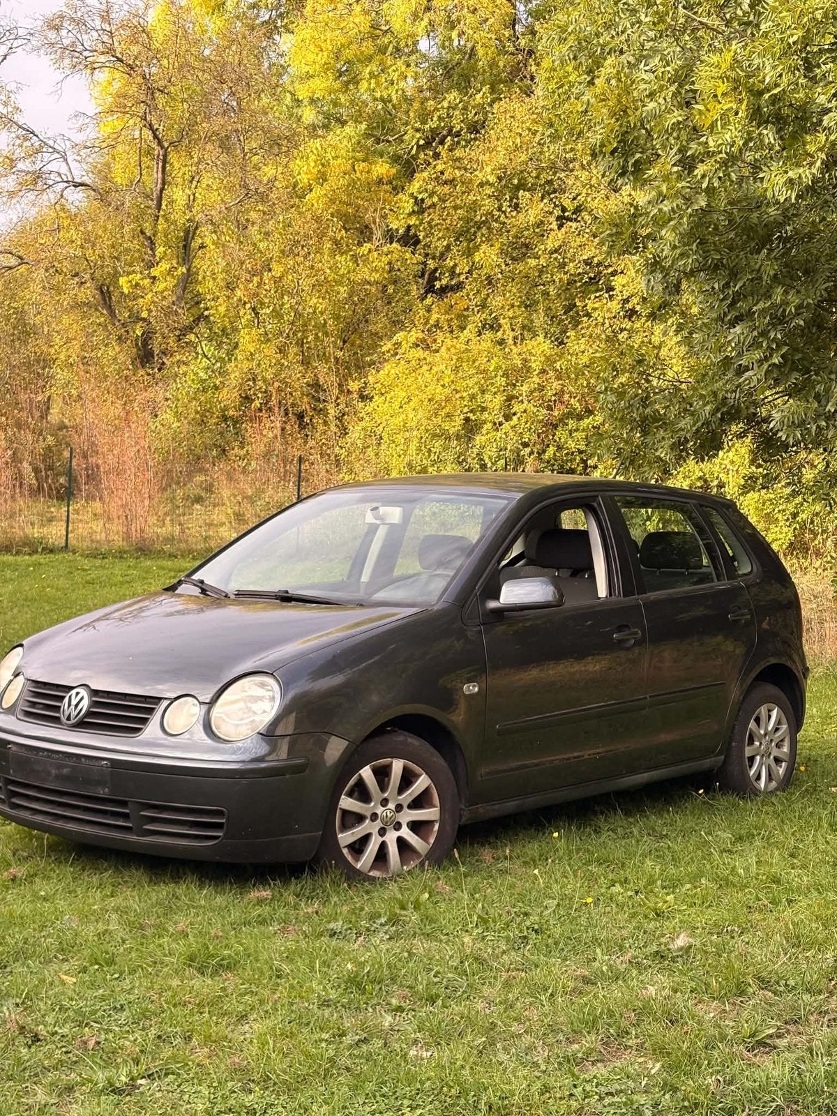 Polo 9N, Autos, Particulier, Achat, Polo