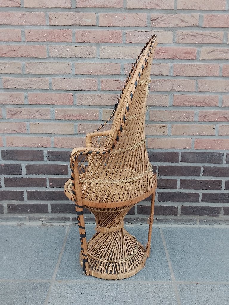 Vintage Rotan Pauwenstoel – Boho Lounge Stoel – Jaren 70 Sti, Ophalen, Gebruikt, Bruin, Riet of Rotan