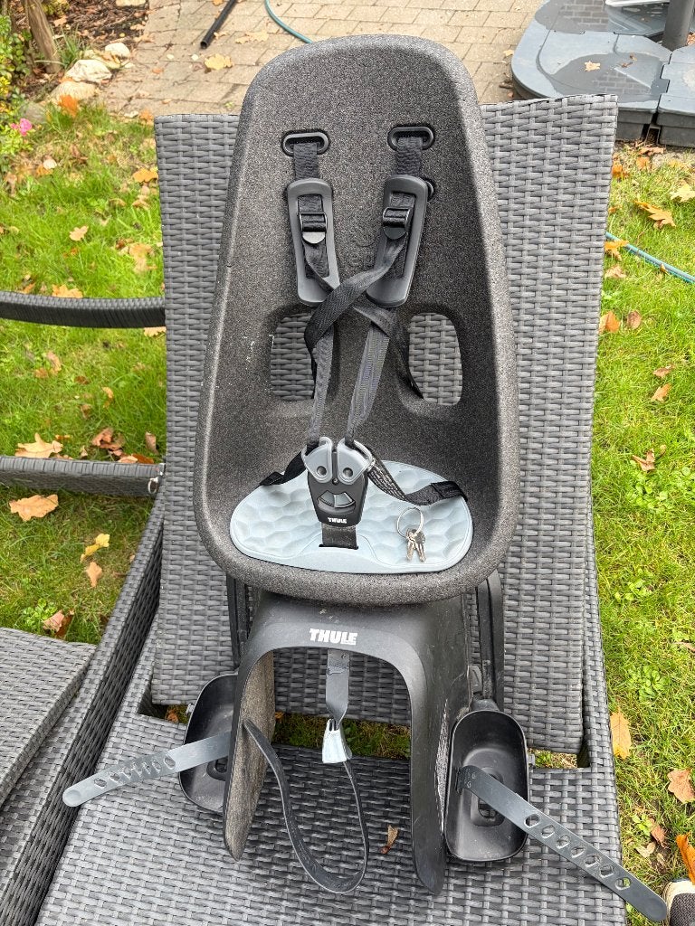 Thule Yepp Nexxt Maxi fietsstoeltje – grijs, Ophalen, Achterzitje, Yepp (Thule), Gebruikt