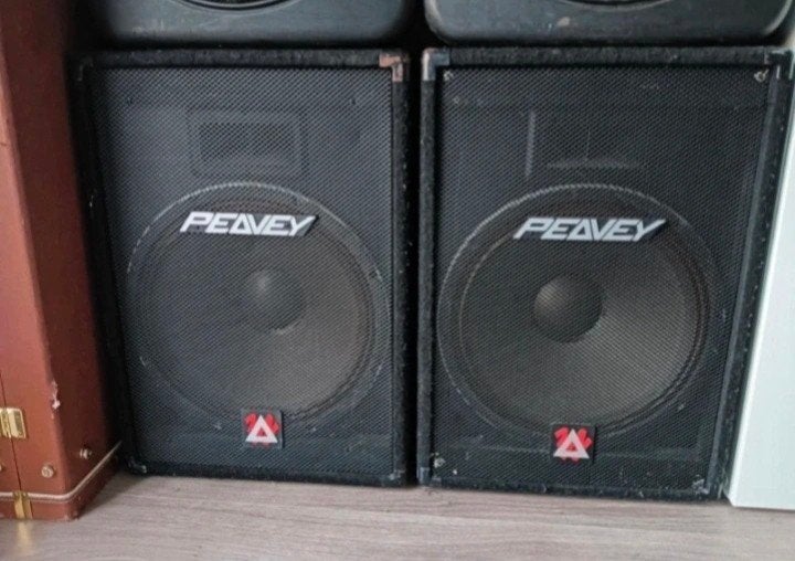 Peavy speakers 2x, Ophalen, Gebruikt, P.A.