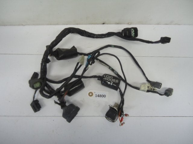 CBR1000RR 2008 - 2011 Honda Kabelboom D1-16737