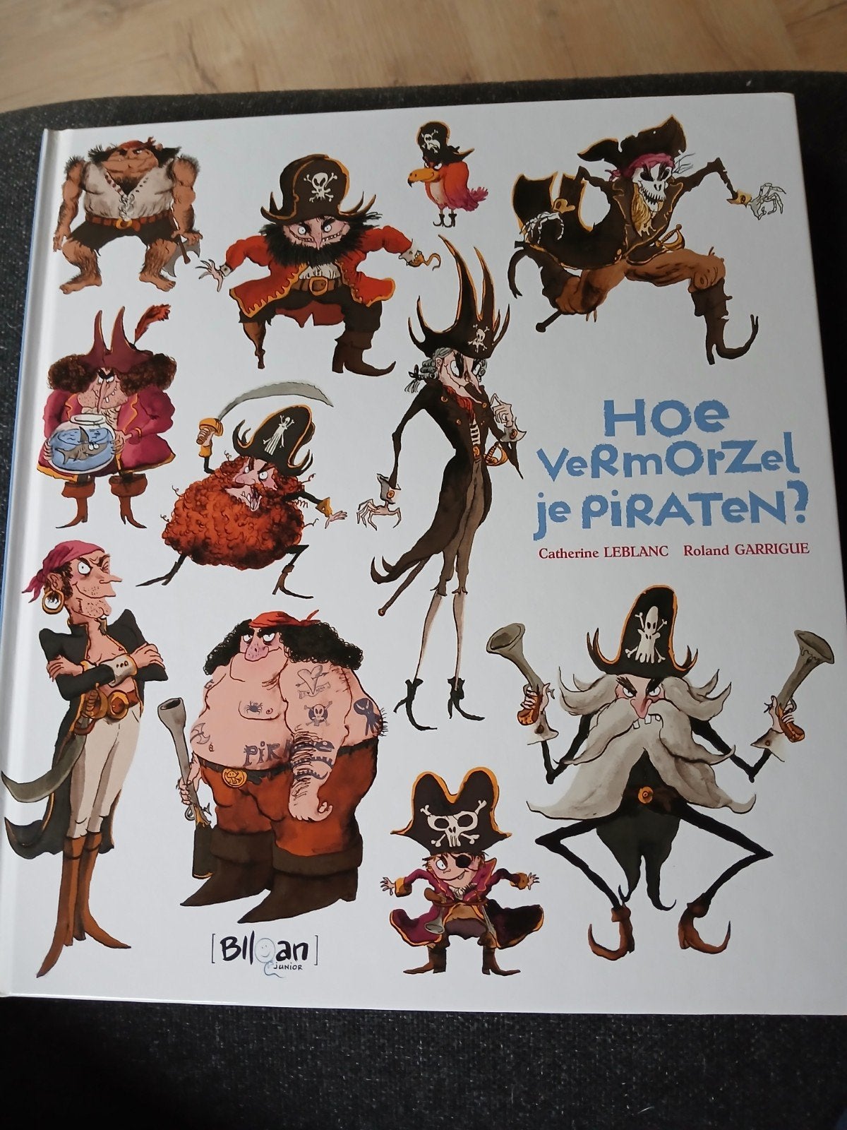 Hoe vermorzel je piraten, Enlèvement