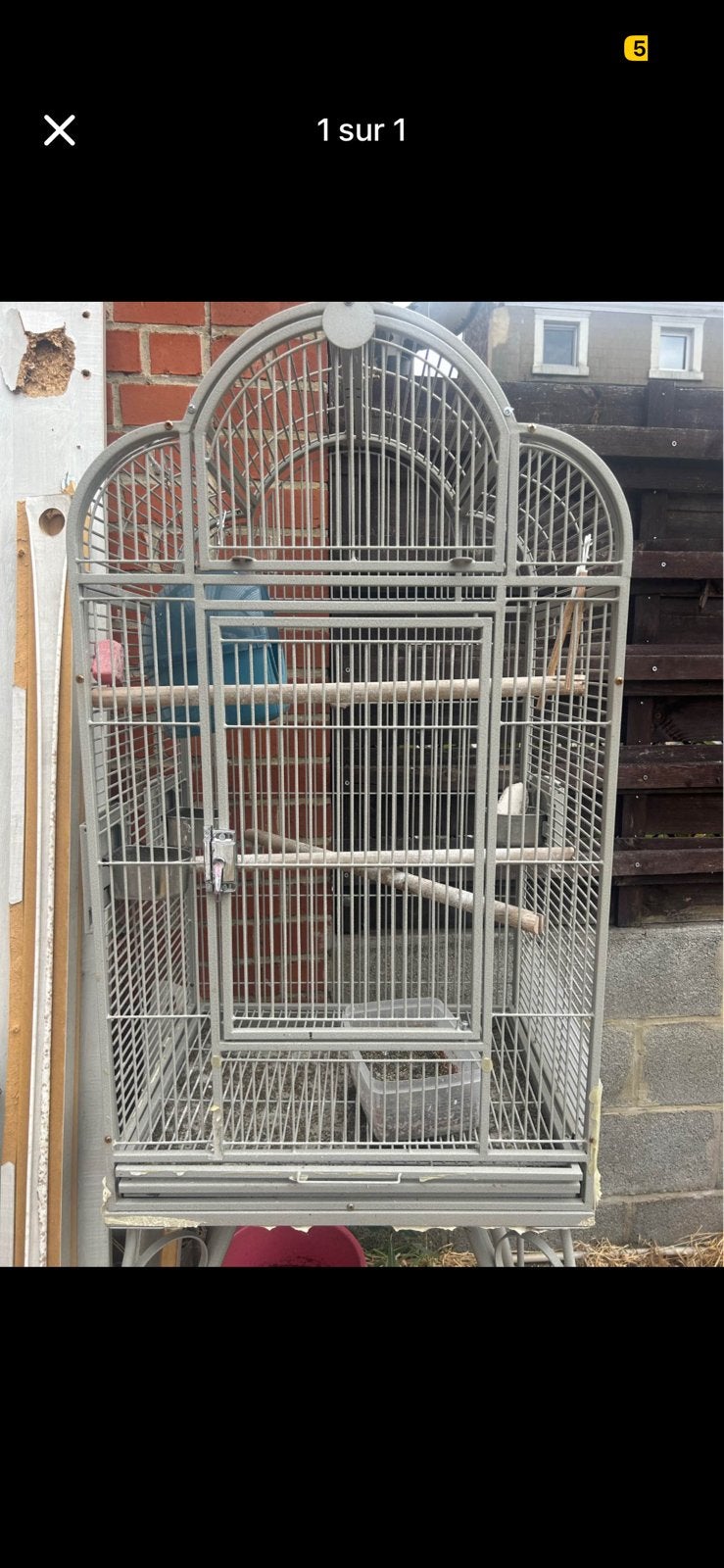 Cage oiseaux, Enlèvement, Utilisé, Métal, Cage à oiseaux
