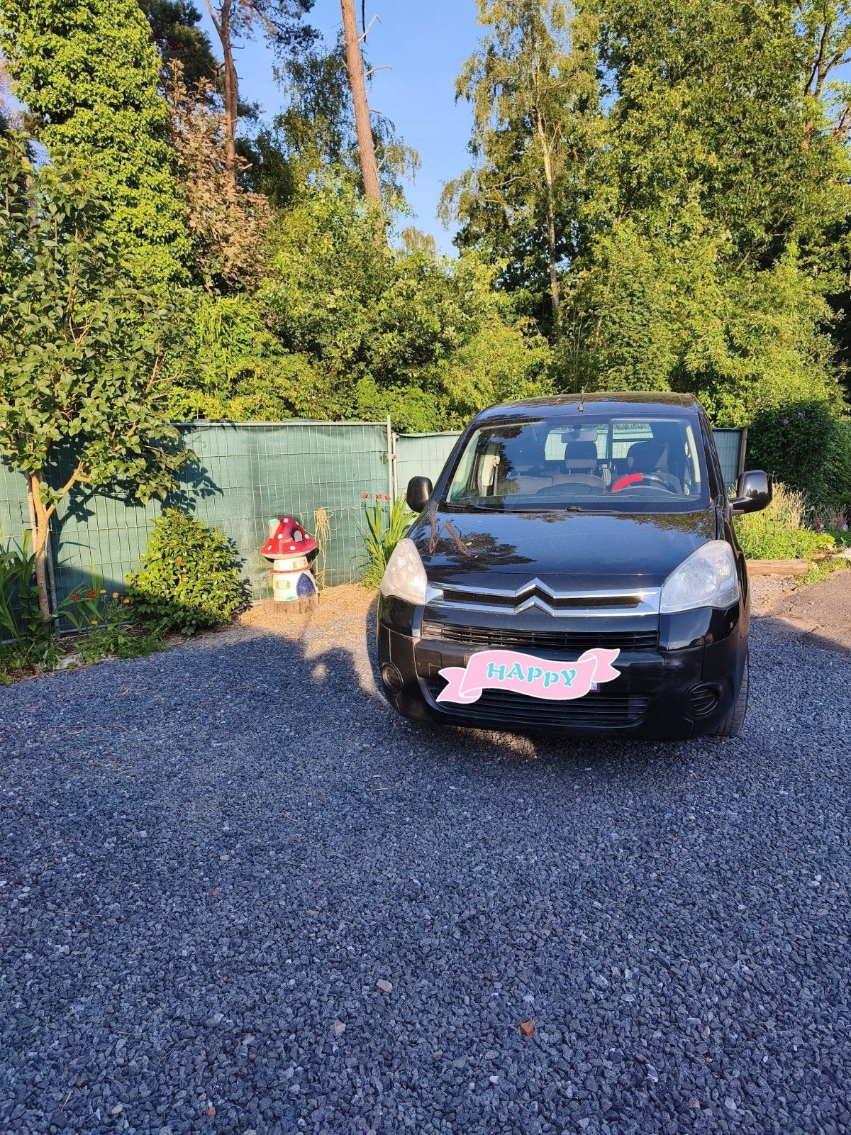Citroën Berlingo lichte vracht, Auto's, Citroën, Particulier, Berlingo, Airconditioning, Centrale vergrendeling, Elektrische ramen