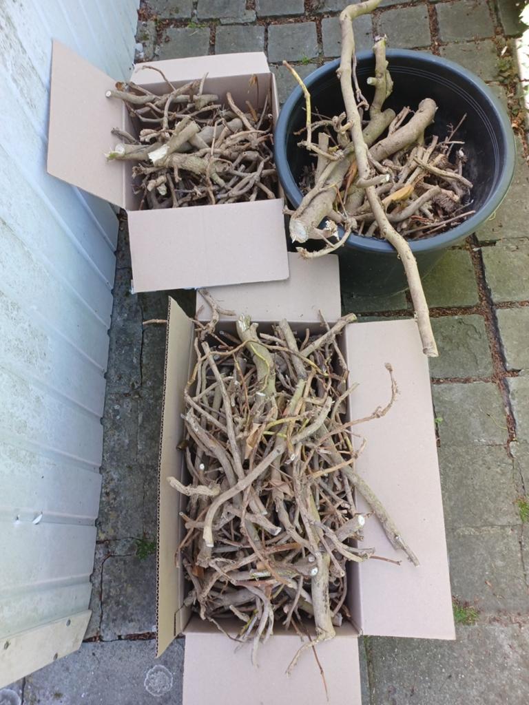 Aanmaakhout, Tuin en Terras, Ophalen