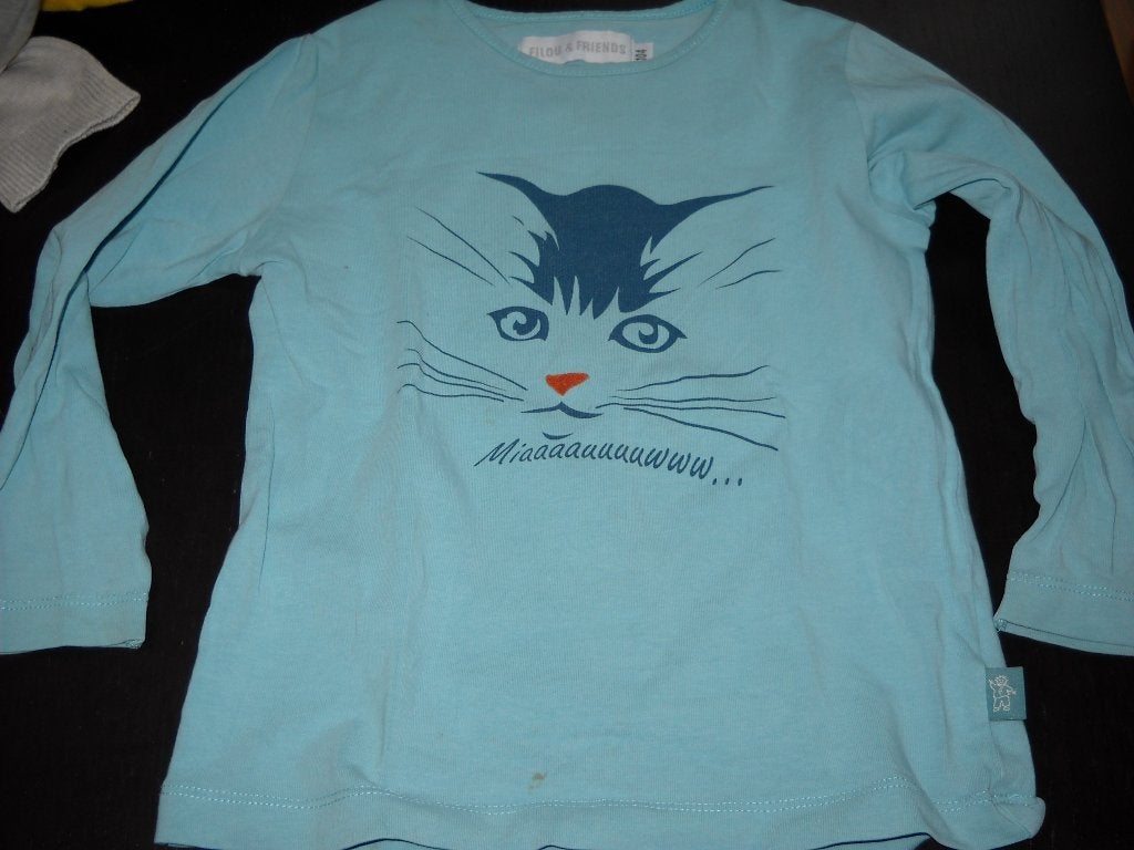 longsleeve en kleedje filou-104-nette staat-4jaar, Ophalen, Gebruikt, Meisje