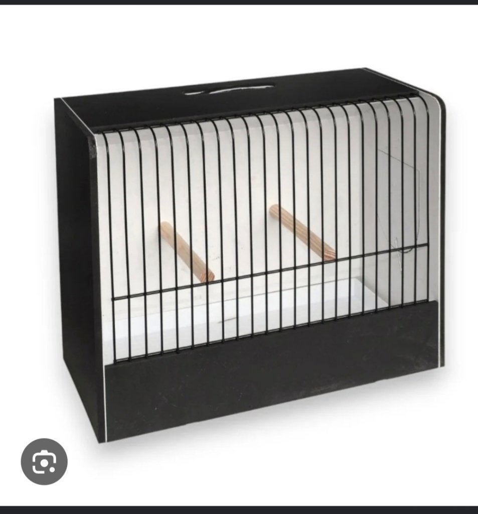 Cage expo canari couleur, Animaux & Accessoires, Canari de couleur