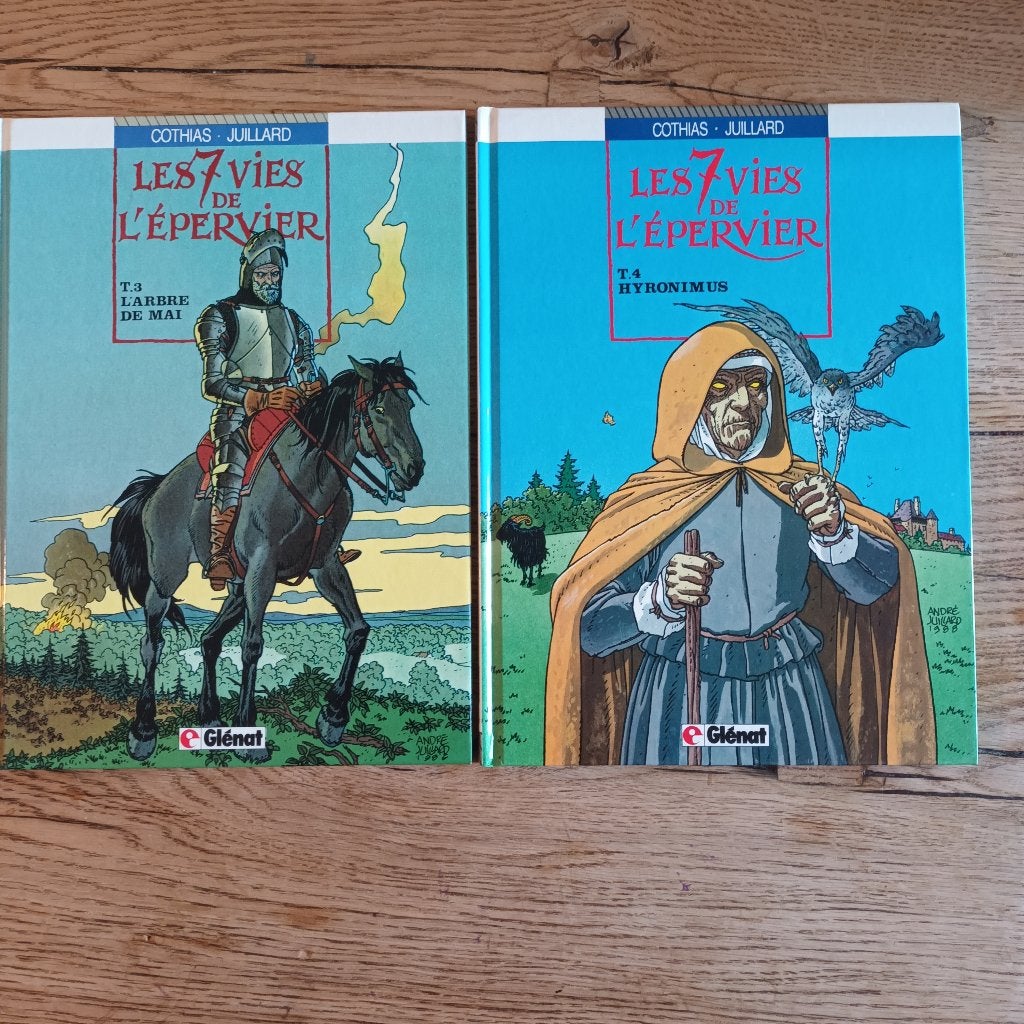 BD Les 7 vies de l'Epervier tomes 3 et 4, Livres, BD, Utilisé, Plusieurs BD, Enlèvement ou Envoi