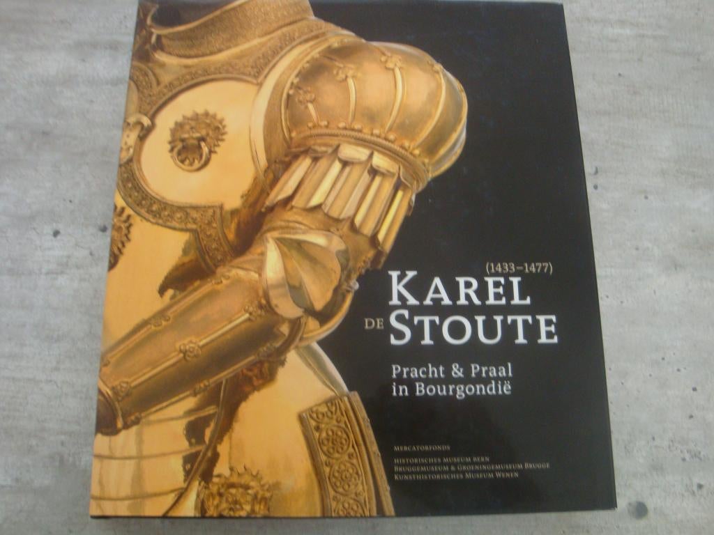KAREL DE STOUTE -PRACHT EN PRAAL IN BOURGONDIË, Boeken, Ophalen of Verzenden, Gelezen