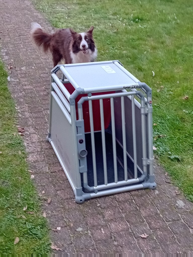 honden bench, Ophalen, Gebruikt