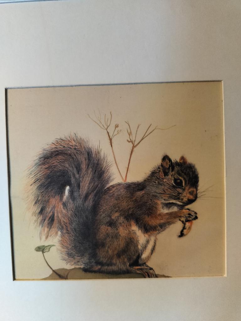 Joli cadre, Enlèvement ou Envoi
