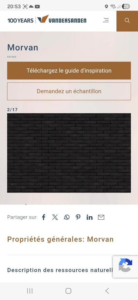 Vandersanden Morvan/Wapper Silver Bricks, Doe-het-zelf en Bouw, Bakstenen