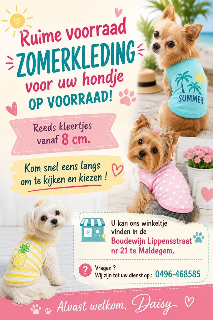 Hondenkleding aan outletprijzen.  Kom eens kijken !, Ophalen of Verzenden, Nieuw, Overige maten