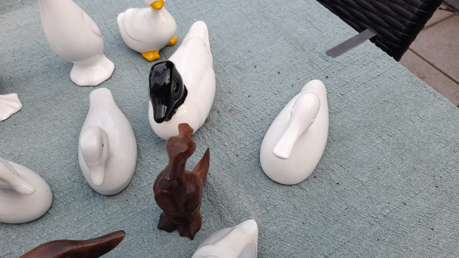 à vendre 14 canards adorable, Enlèvement