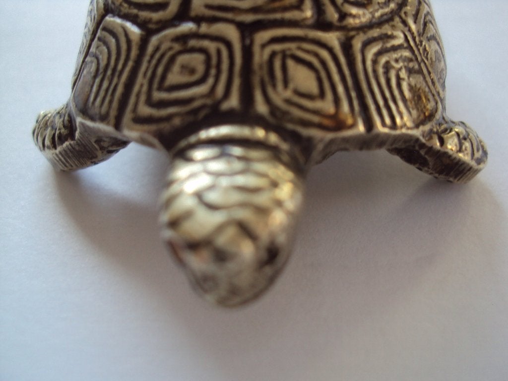 Zilverachtig schildpadje ,volledig bewerkt , 164 gram, Ophalen of Verzenden