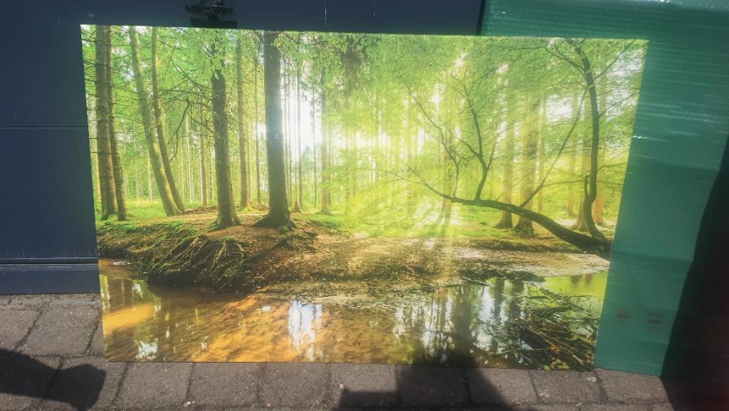 Grote canvas boszicht, Overige typen, Nieuw, Ophalen of Verzenden, 100 tot 125 cm