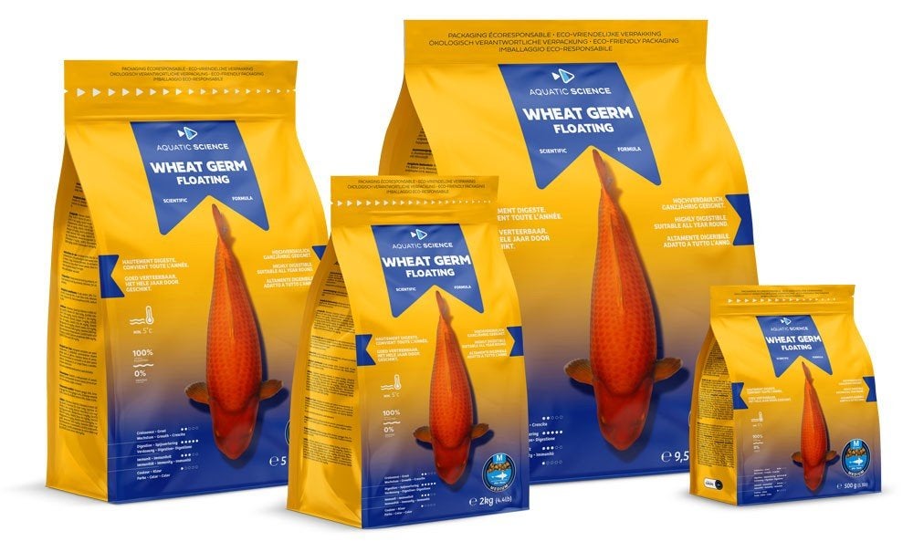 Koivoer, Dieren en Toebehoren, Karper of Koi