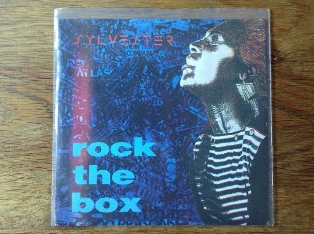 single sylvester, Cd's en Dvd's, Overige genres, 7 inch, Ophalen of Verzenden, Fotohoes