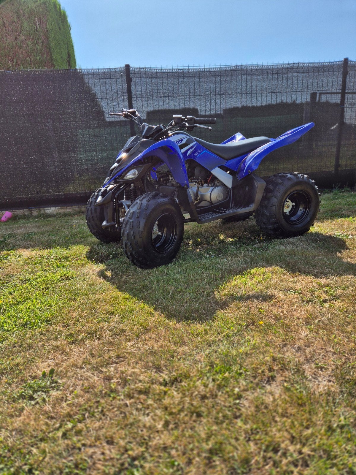 yamaha raptor 90, Motoren