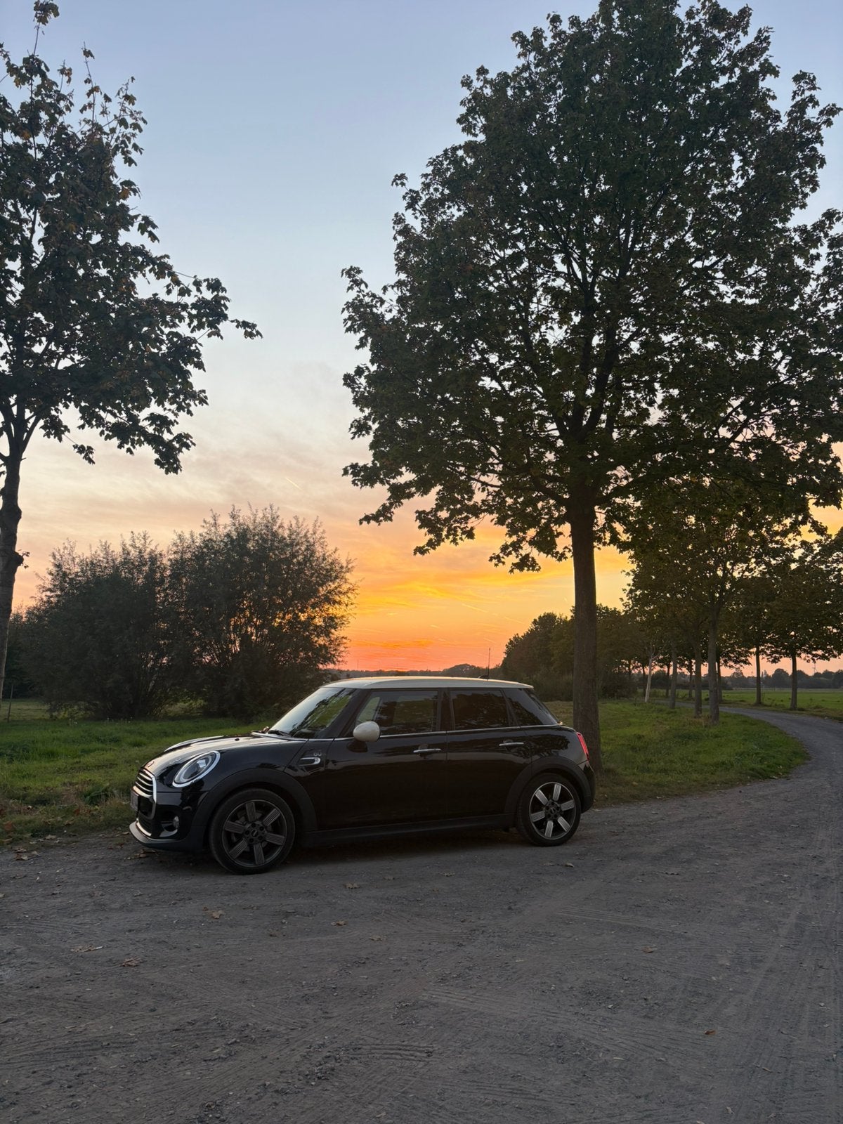 MINI Cooper 60 Years Edition - Perfect in orde, Auto's, Bruin, Leder, 5 deurs, Particulier